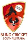 http://www.blindcricketsa.org