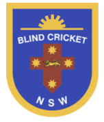 http://www.blindcricket.com/